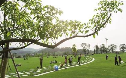 如果五年后你还过着现在的生活,离开重庆这个城市的感慨