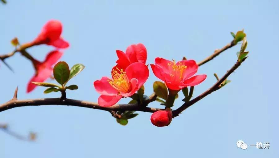 妇产科护理札记,妇产科医生手记视频