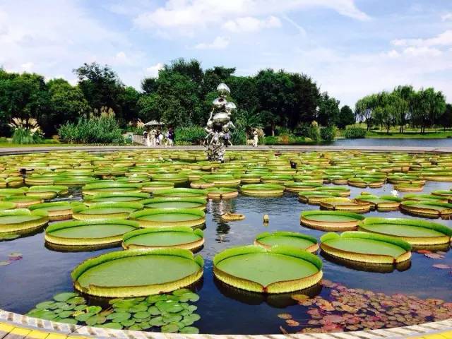 上海奉贤一日游最佳景点一览表,上海宝山区最值得去的五个景点