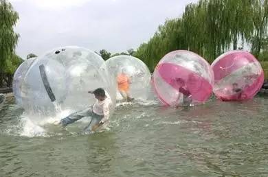 上海奉贤一日游最佳景点一览表,上海宝山区最值得去的五个景点