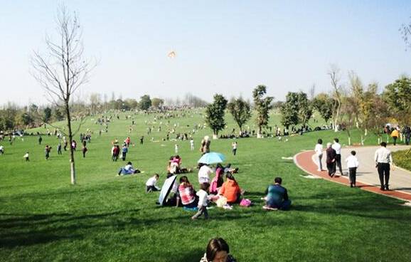 如果五年后你还过着现在的生活,离开重庆这个城市的感慨