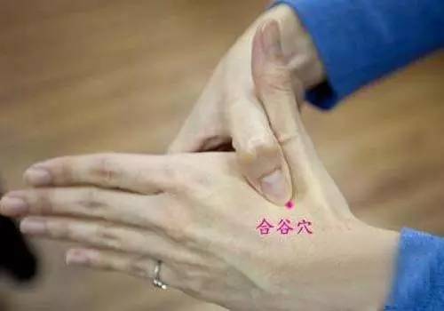 过敏性鼻炎又犯了？常喝这个很管用！