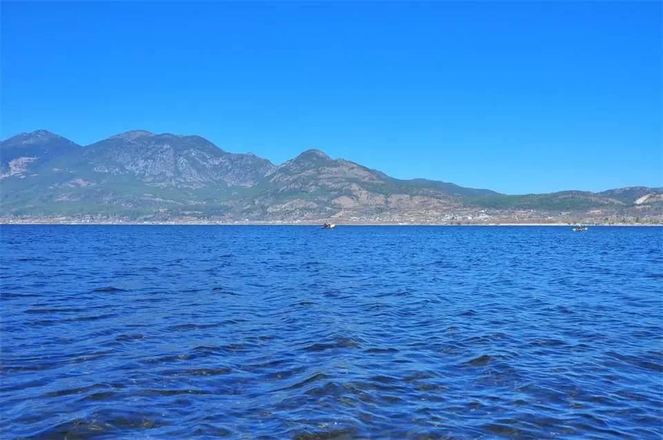 拉市海茶马古道人在旅途,拉市海骑马古道马帮