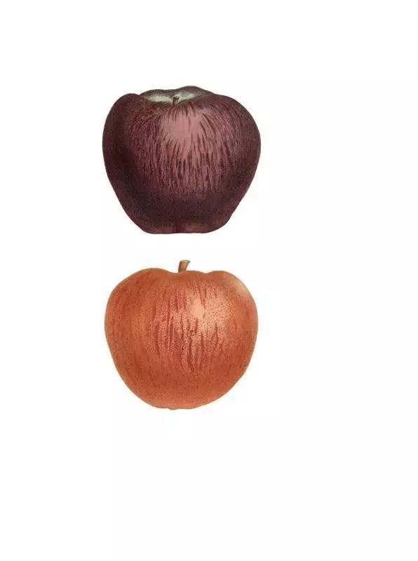 拉开孩子距离的不是智商,拉开孩子智力差距的时间