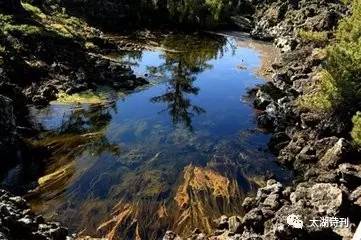 这场爱情没结果,这场爱究竟错在了何处小说