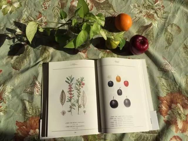 拉开孩子距离的不是智商,拉开孩子智力差距的时间