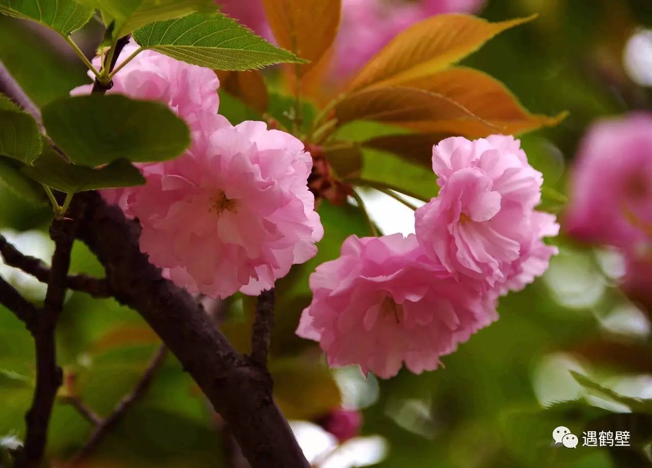 寻找紧急扩散人员名单,紧急寻找紧急扩散