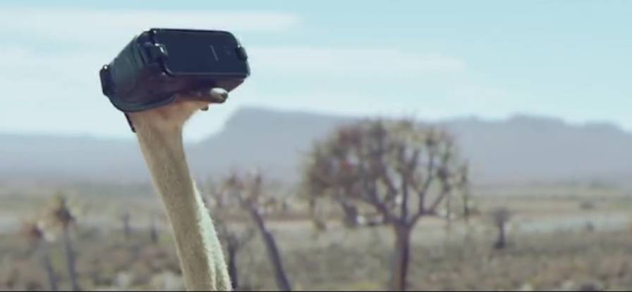 鸵鸟戴上vr眼镜广告,鸵鸟宣传