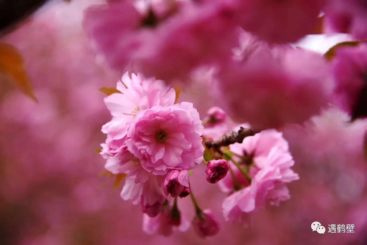 寻找紧急扩散人员名单,紧急寻找紧急扩散
