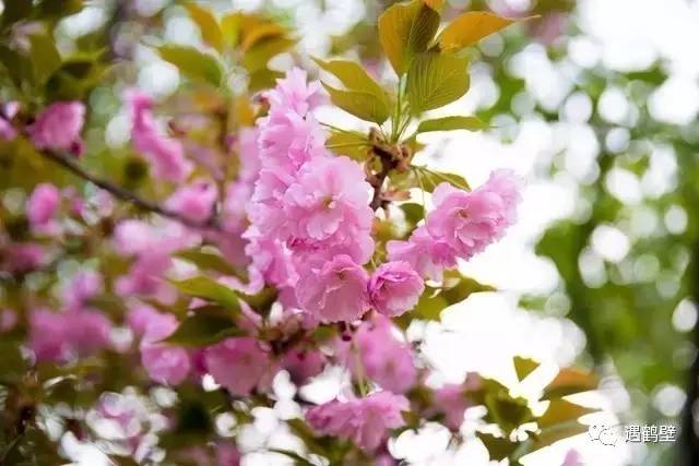 寻找紧急扩散人员名单,紧急寻找紧急扩散