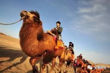 这场爱情没结果,这场爱究竟错在了何处小说