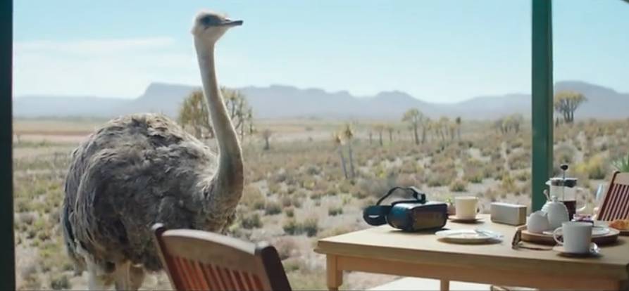 鸵鸟戴上vr眼镜广告,鸵鸟宣传