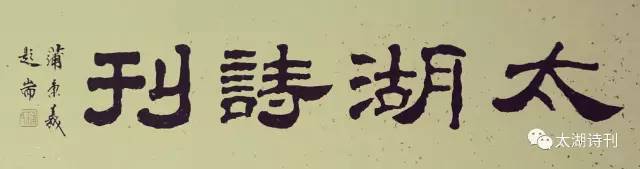 这场爱情没结果,这场爱究竟错在了何处小说