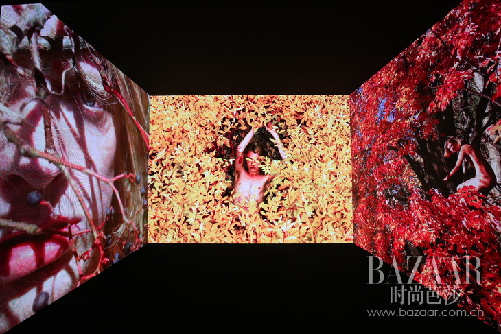 大幂幂时尚盛典完整版,大幂幂时尚盛典红毯