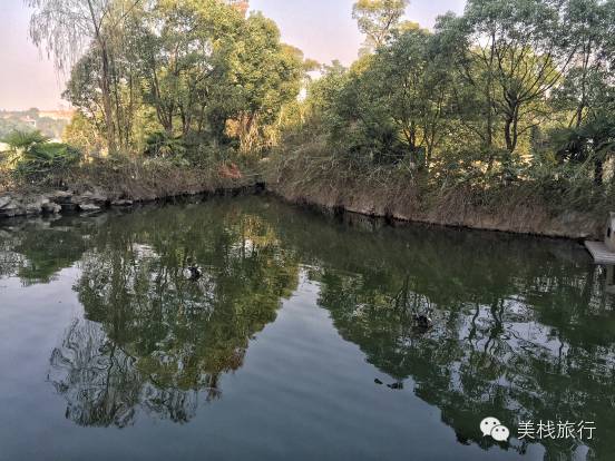 南京索菲特酒店体验,南京索菲特钟山高尔夫酒店预订