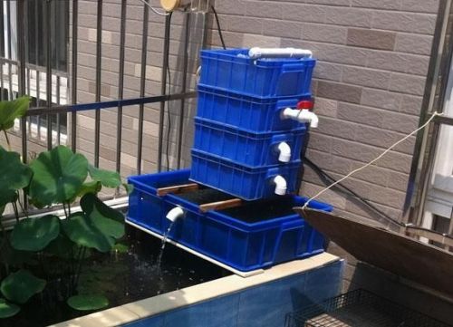 水中游动的活宝石,水中活宝石锦鲤视频