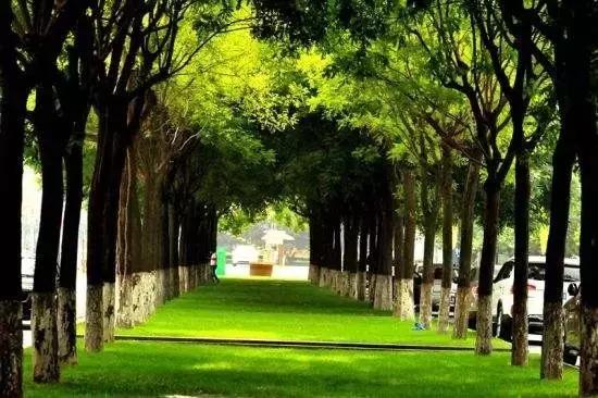 春天来了带着孩子出来,春天来了带着孩子去踏青吧