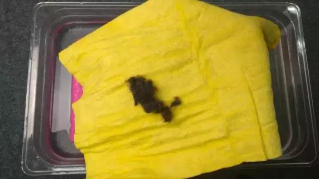 鹿皮巾买什么样的的好,鹿皮巾什么牌子最好