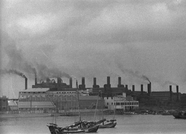 每日花语问候,每日花语桔梗花