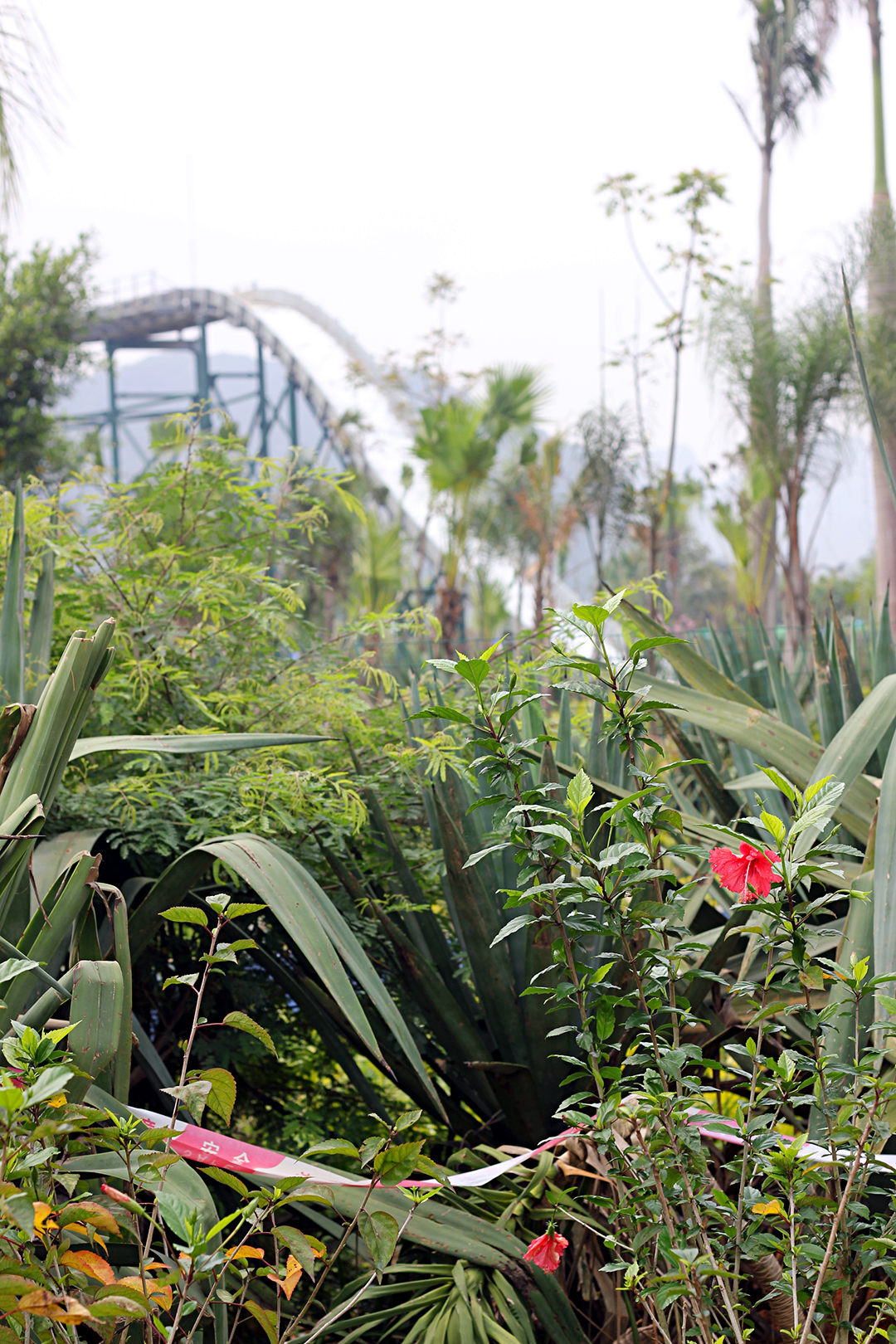 崇左市扶绥龙谷湾恐龙公园,扶绥龙谷湾三月三