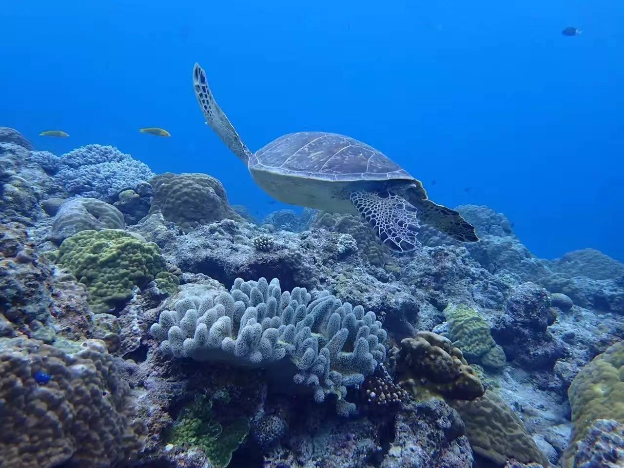 weekendescape,weekendescape什么意思