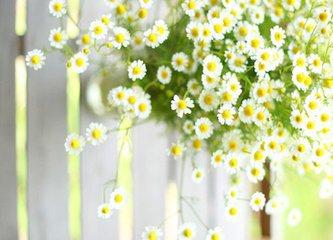 血瘀很厉害怎么办,血瘀者怎么调理