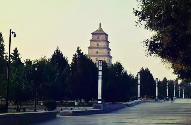 春天来了带着孩子出来,春天来了带着孩子去踏青吧