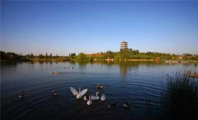 春天来了带着孩子出来,春天来了带着孩子去踏青吧