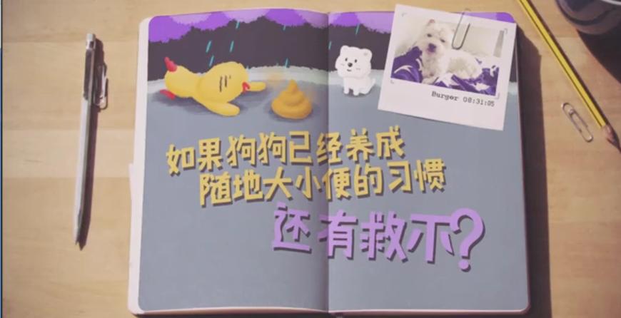 狗狗随地大小便时如何正确的惩罚,铲屎官怎样教狗狗定点上厕所