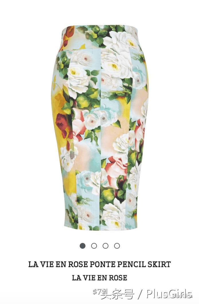 全球最高收入女星第二名竟然是这个200斤的胖姐们