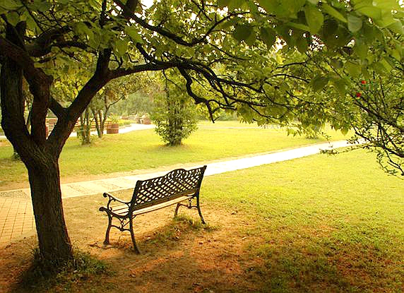 南航上铺的你（7）东洋带走教授女儿我恍然大悟：皇帝不急太监急