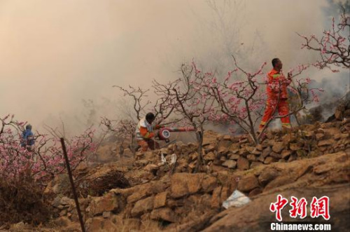 清明节光明日报,光明日报出游禁令