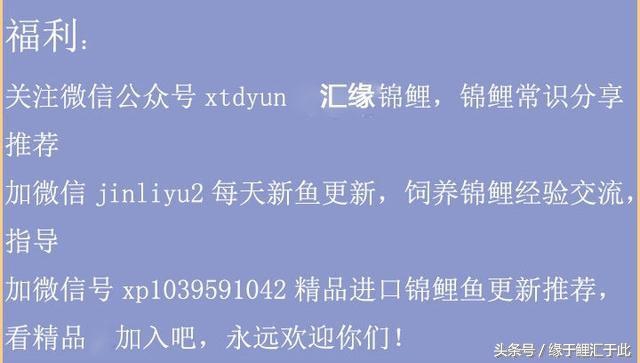 如何降低水的硬度和ph,怎样降低鱼缸水的硬度