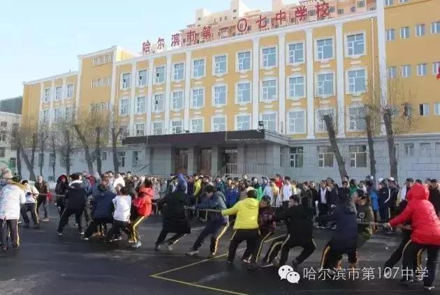 哈尔滨一模成绩排名,道外区中学排名