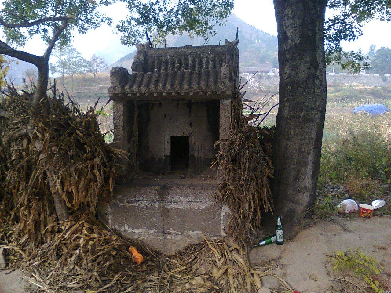 这座乡村古庙，挖出了半尺宽的古生物牙齿