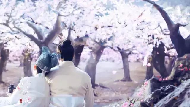 穿越十里桃林，有一种温暖叫“娘家人”