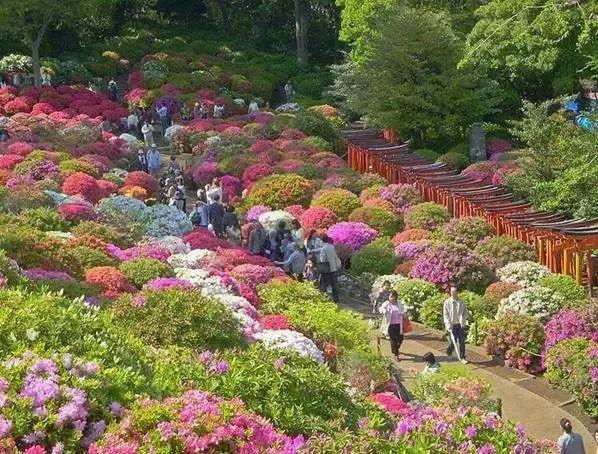 东京旅游一定要去的10个地方,去东京旅游有什么好玩的地方