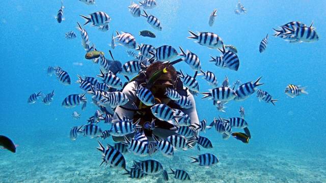 weekendescape,weekendescape什么意思