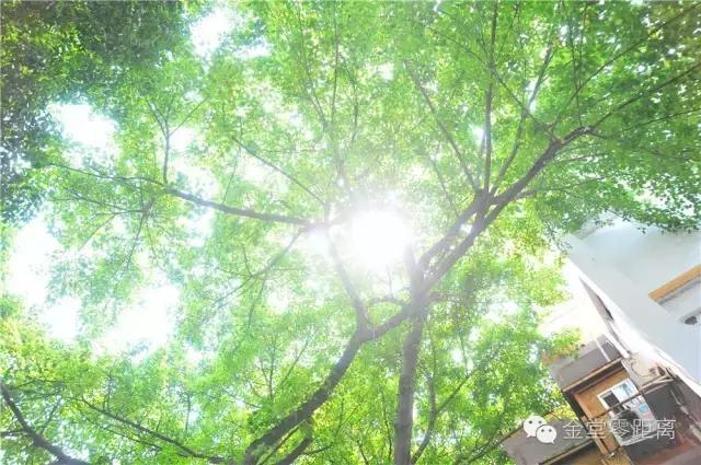 别再跟我抱怨金堂！2017，庆幸自己没离开！