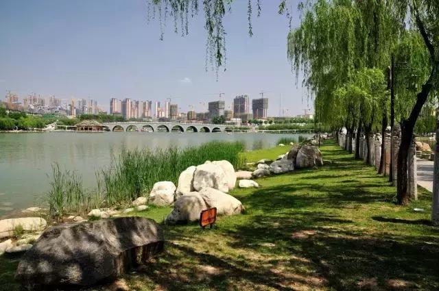 春天来了带着孩子出来,春天来了带着孩子去踏青吧