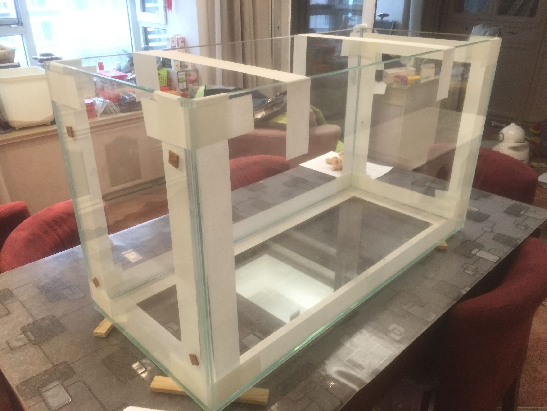 浮云社合集,小鱼缸隔离缸diy