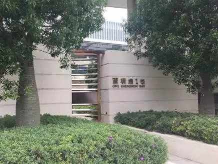 王石最大的别墅,王石深圳别墅