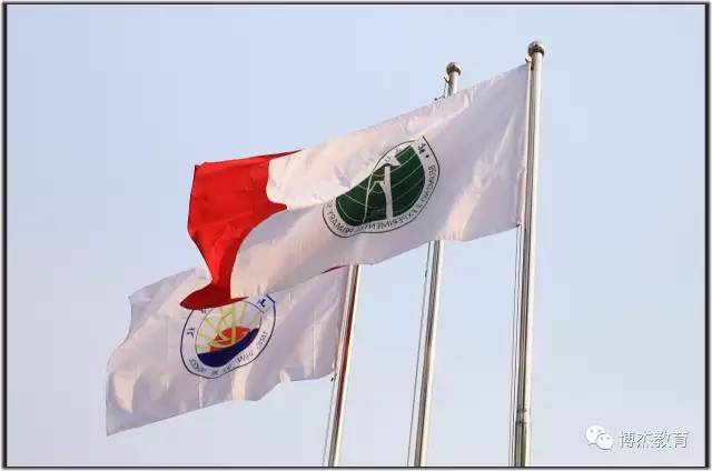 亲子运动会一起感受童心乐趣,亲子趣味运动会大合集