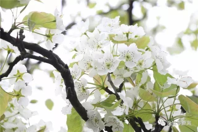 别再跟我抱怨金堂！2017，庆幸自己没离开！