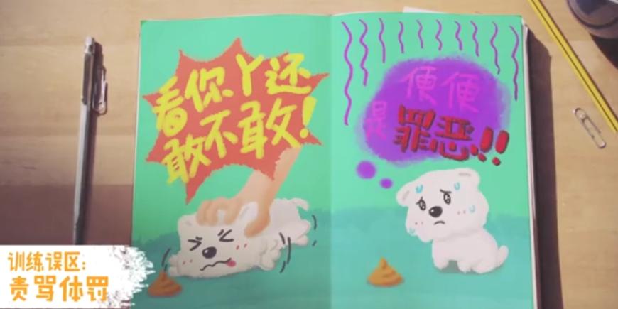 狗狗随地大小便时如何正确的惩罚,铲屎官怎样教狗狗定点上厕所