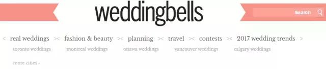 2017年超优秀的100个国外婚礼博客，赶紧收藏！错过无