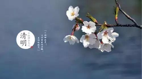 外出踏青要关注什么安全,清明踏青皮肤过敏