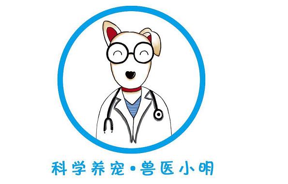 兽医常见病诊断与治疗,兽医治疗小狗