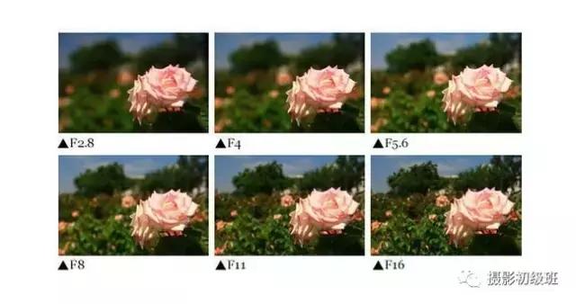 摄影新手怎么拍照片,摄影初学者应该怎么拍