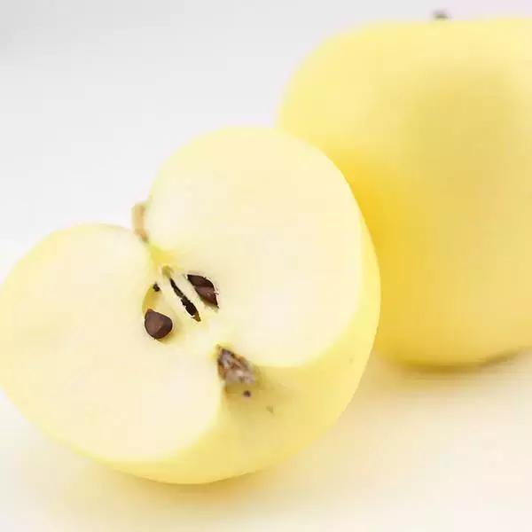 假苹果的特征,假苹果手机是什么样的